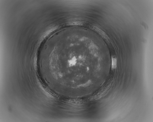 X0000111140627200906301231