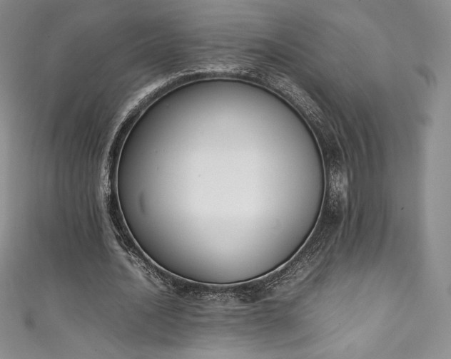 X0000111140628200906301231