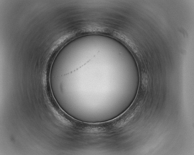 X0000111140629200906301231