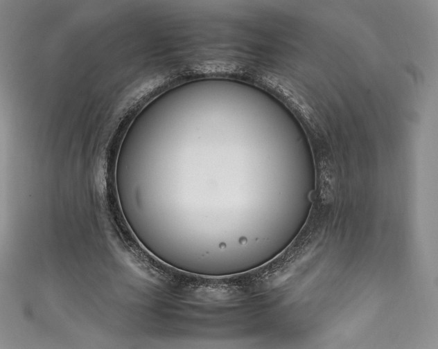 X0000111140631200906301231