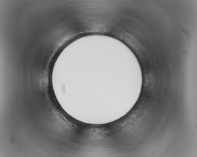 X0000111140632200906301231