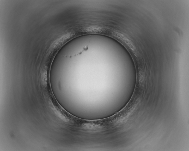 X0000111140633200906301231