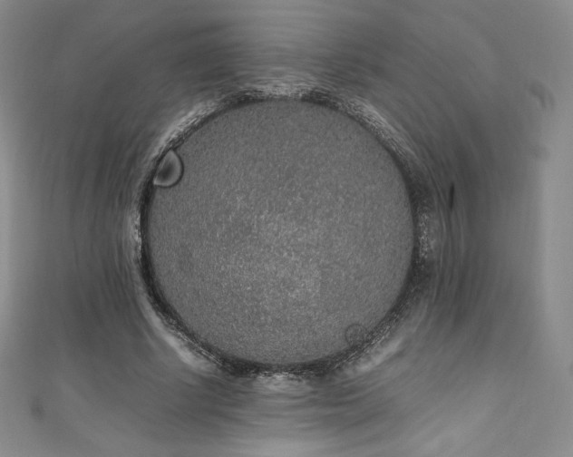 X0000111140634200906301231