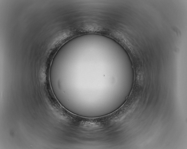 X0000111140635200906301231