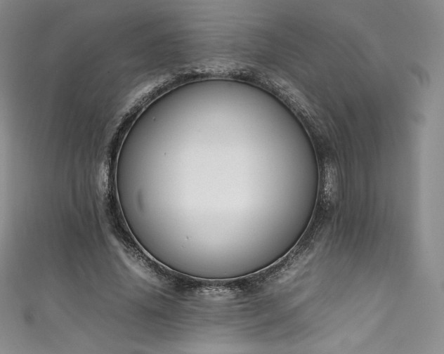 X0000111140636200906301231