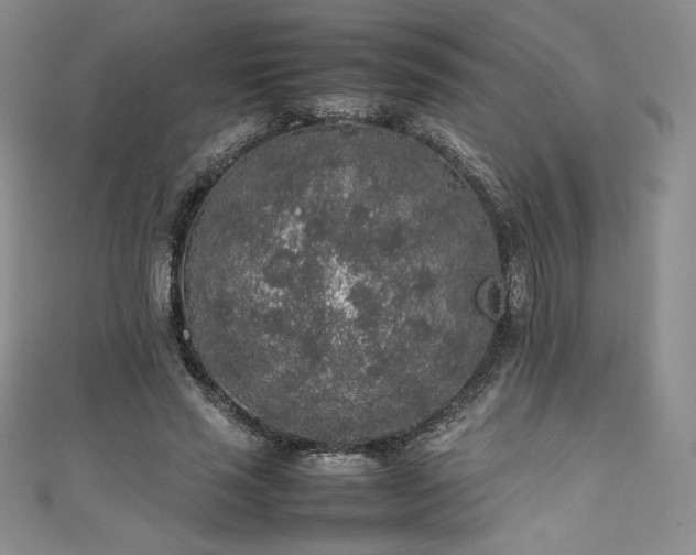 X0000111140637200906301231