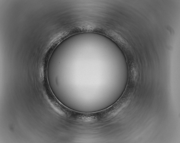 X0000111140638200906301231