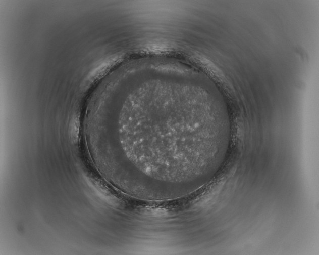 X0000111140640200906301231