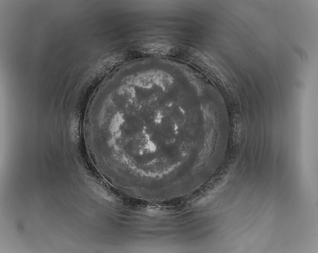 X0000111140641200906301231