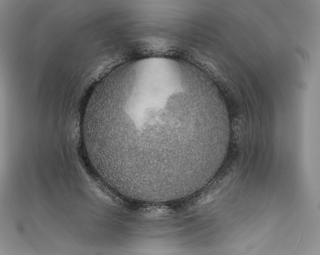 X0000111140642200906301231