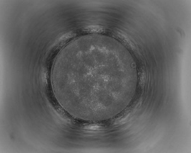 X0000111140643200906301231