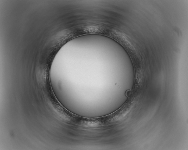 X0000111140645200906301231