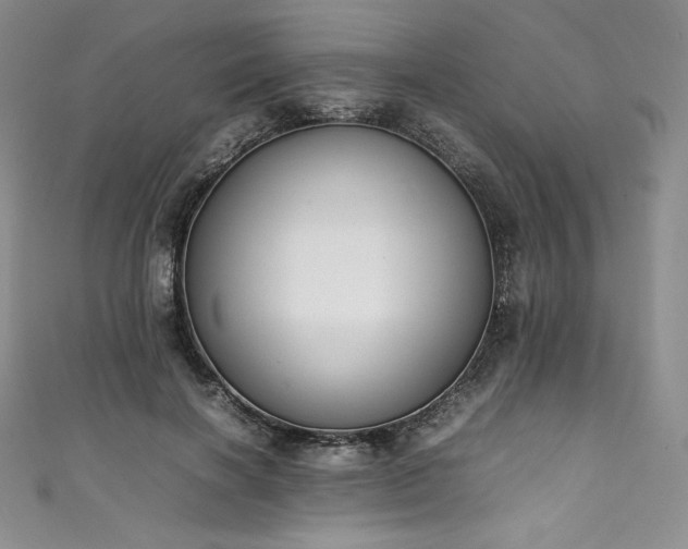 X0000111140646200906301231