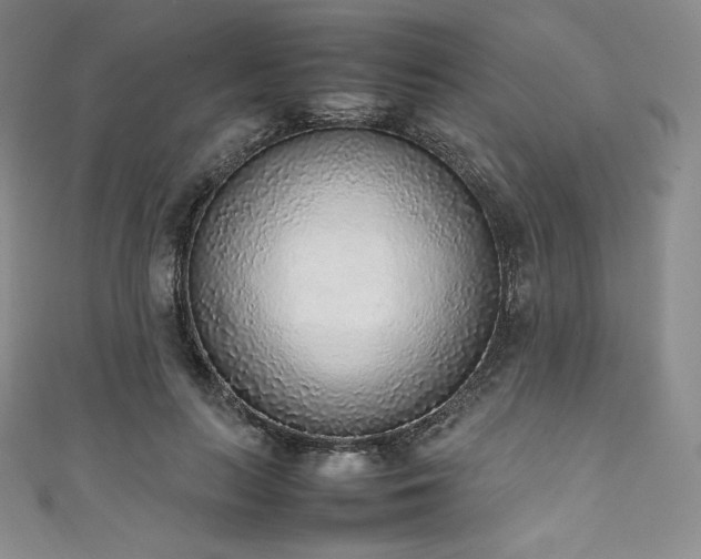 X0000111140647200906301231