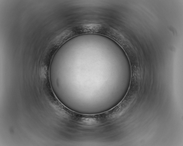 X0000111140649200906301231