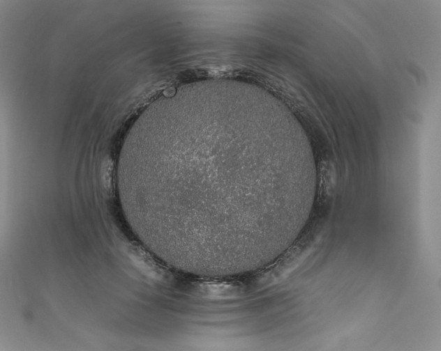 X0000111140650200906301231