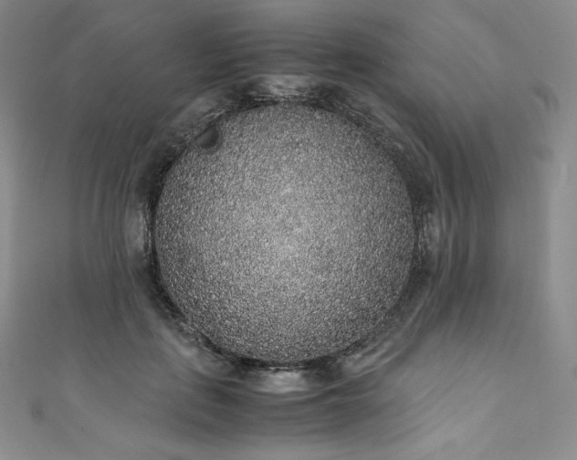 X0000111140651200906301231