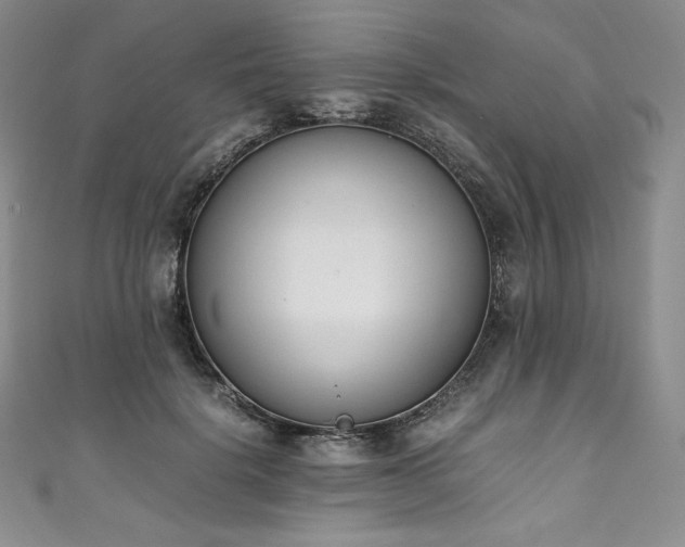 X0000111140652200906301231