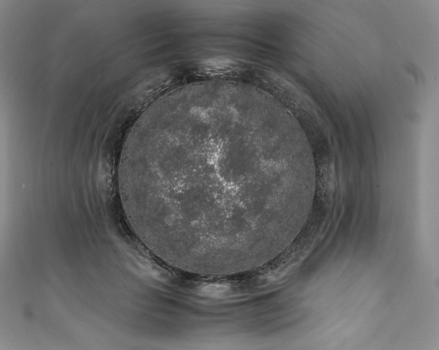 X0000111140653200906301231