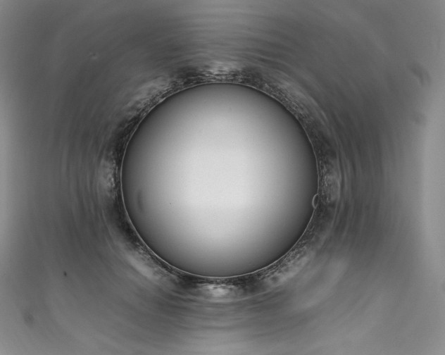 X0000111140654200906301231