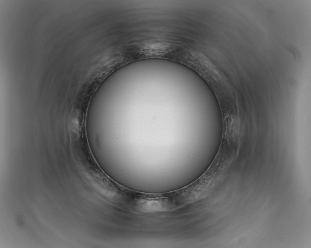 X0000111140655200906301231