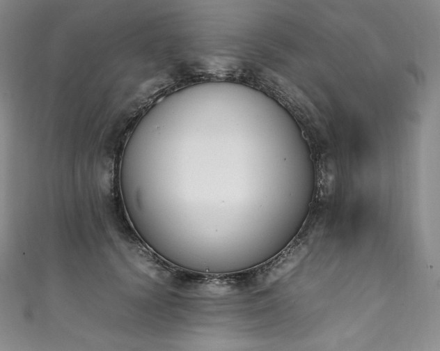 X0000111140656200906301231