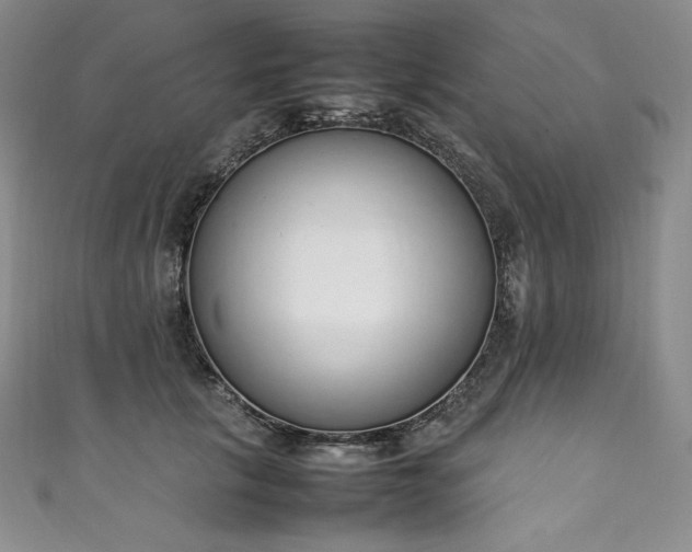 X0000111140657200906301231