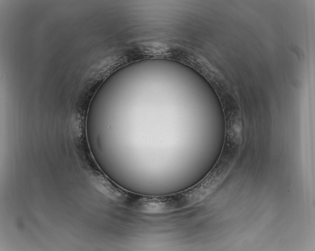 X0000111140658200906301231