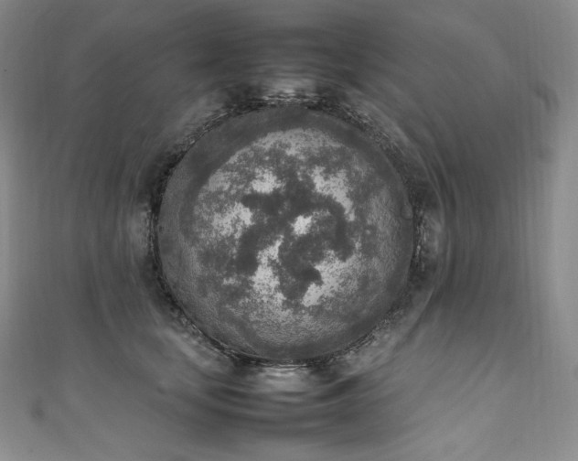 X0000111140659200906301231