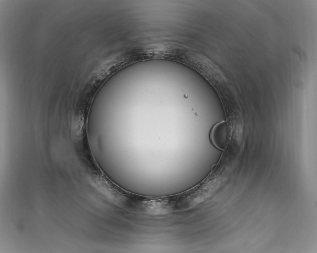 X0000111140660200906301231