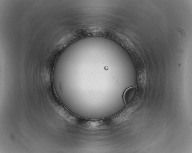 X0000111140662200906301231