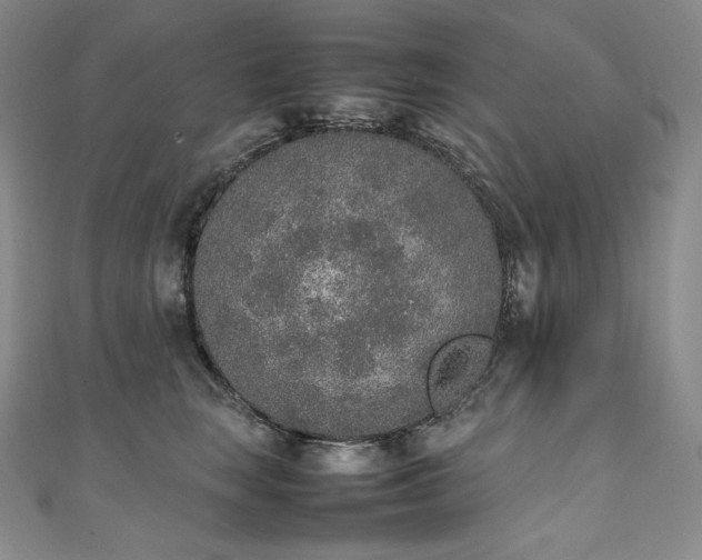 X0000111140663200906301231