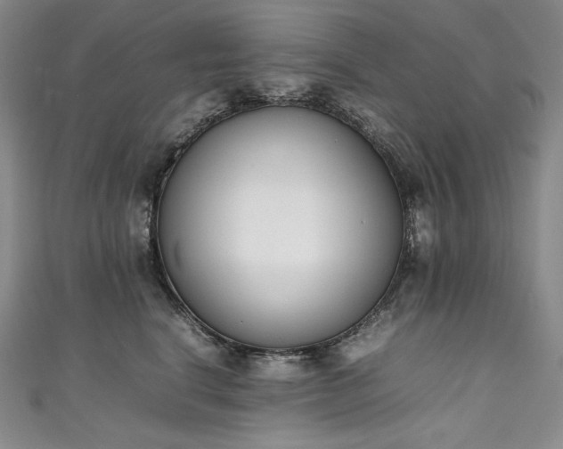 X0000111140664200906301231