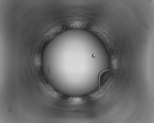 X0000111140665200906301231