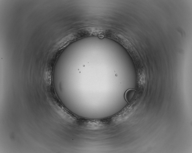 X0000111140666200906301231