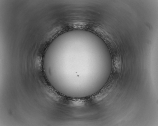 X0000111140667200906301231