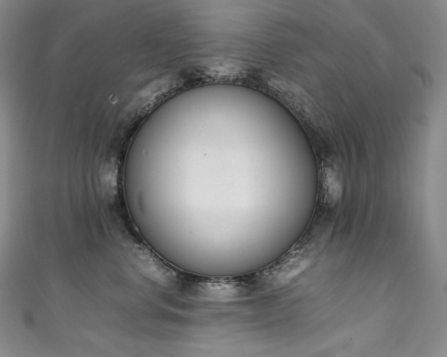 X0000111140668200906301231