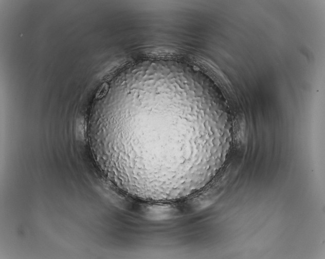 X0000111140669200906301231