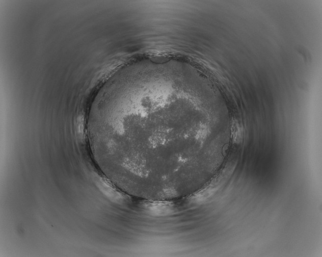 X0000111140670200906301231