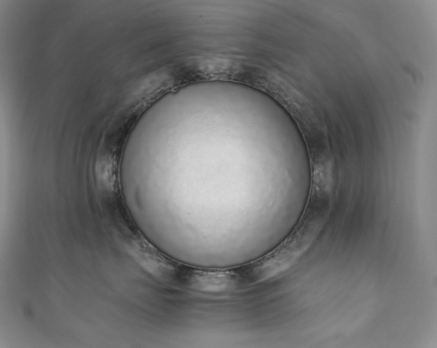 X0000111140671200906301231