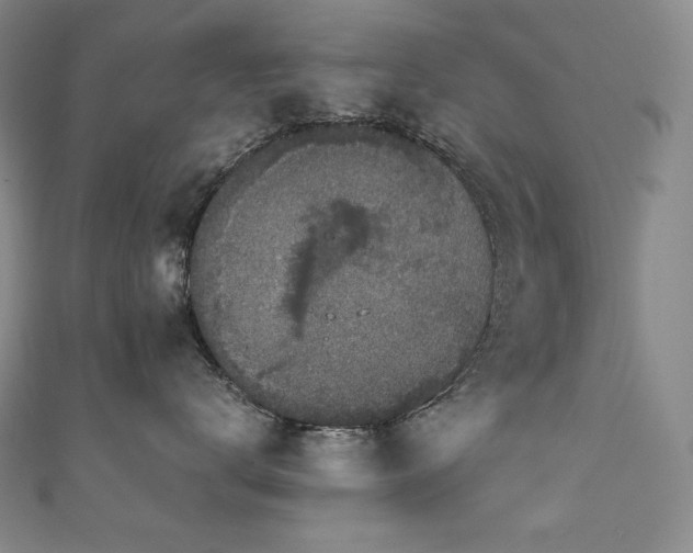 X0000111140672200906301231