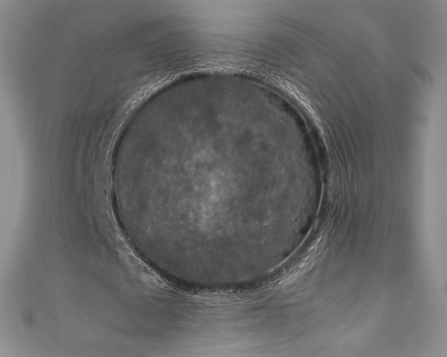 X0000111140673200906301231