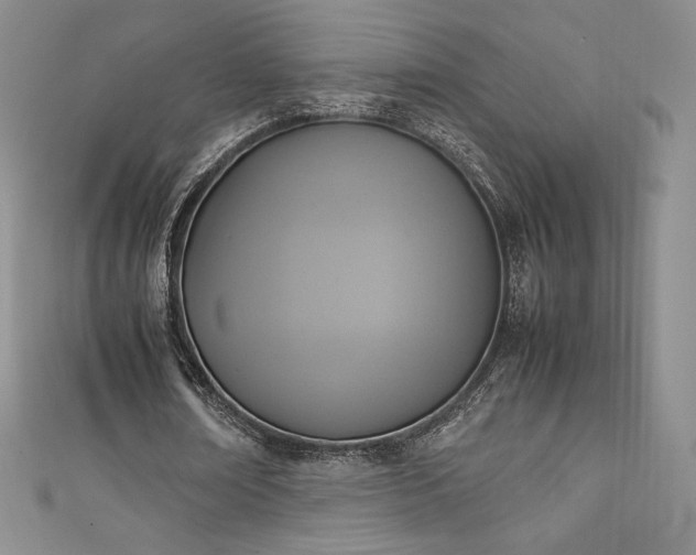 X0000111140674200906301231