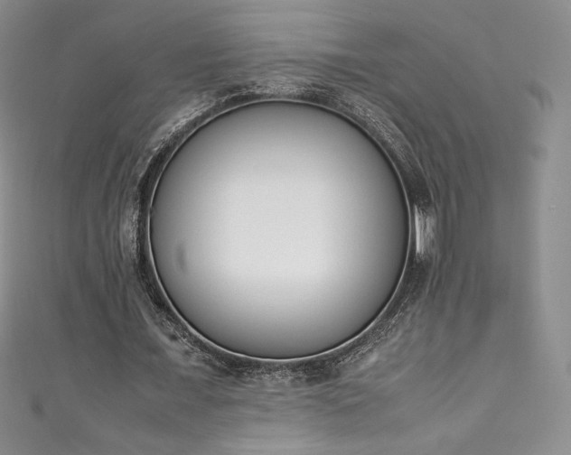 X0000111140675200906301231