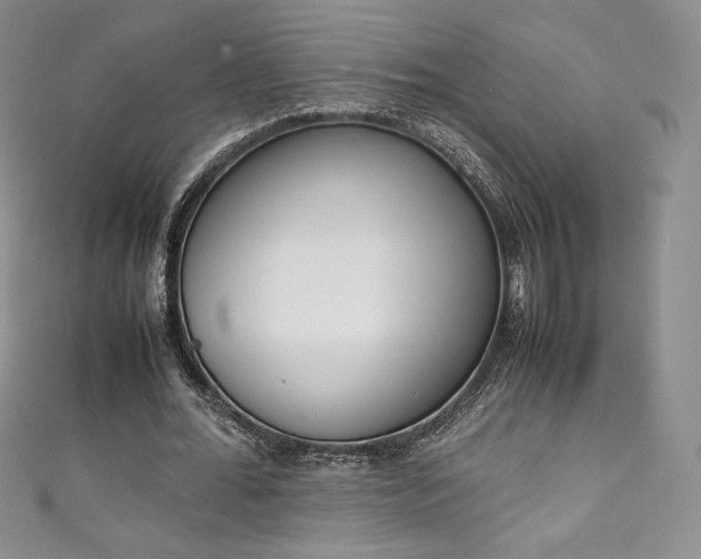 X0000111140676200906301231