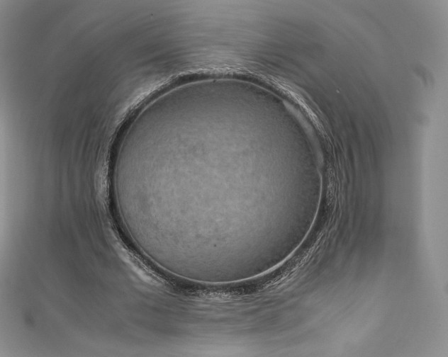 X0000111140677200906301231