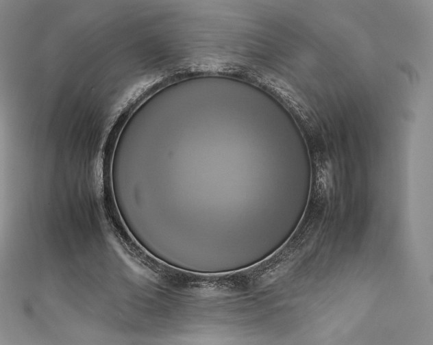 X0000111140678200906301231