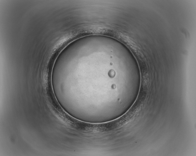 X0000111140679200906301231