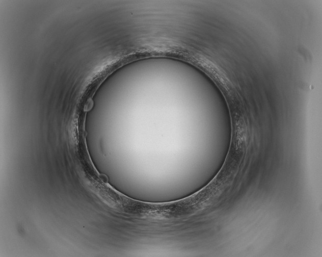 X0000111140680200906301231