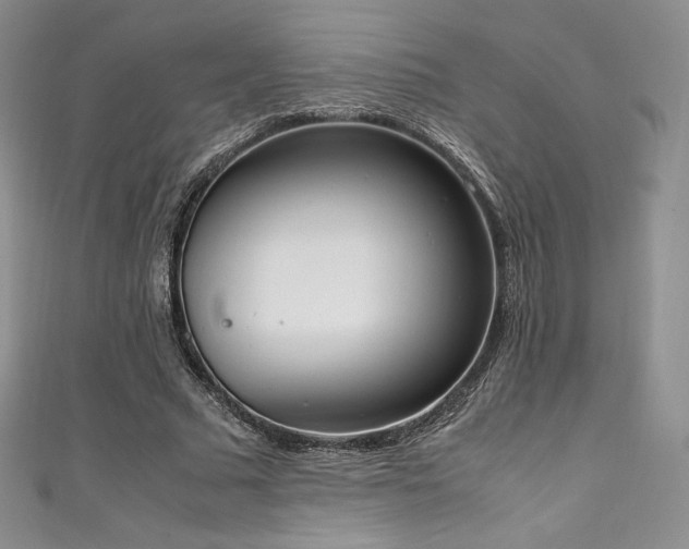 X0000111140681200906301231